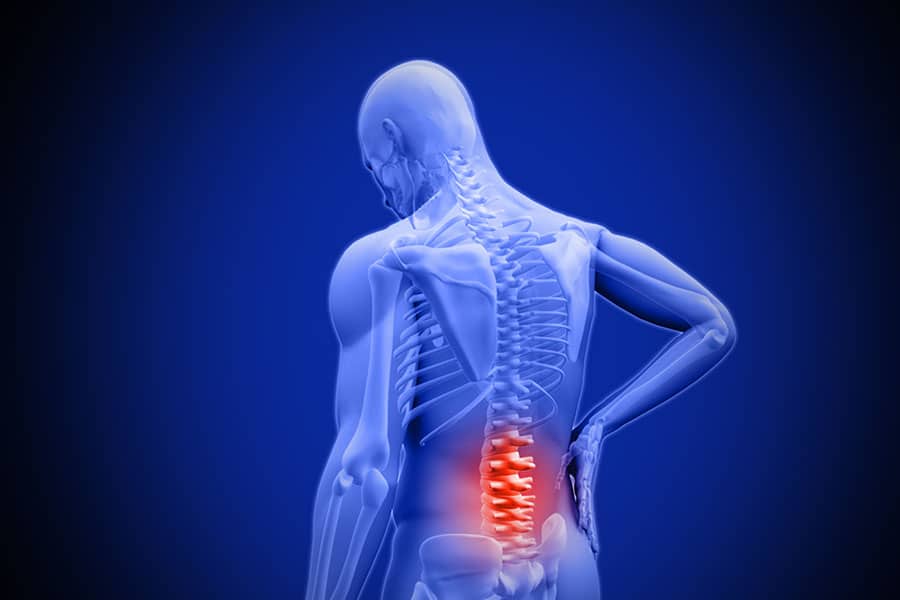 The Causes of Lower Back Pain