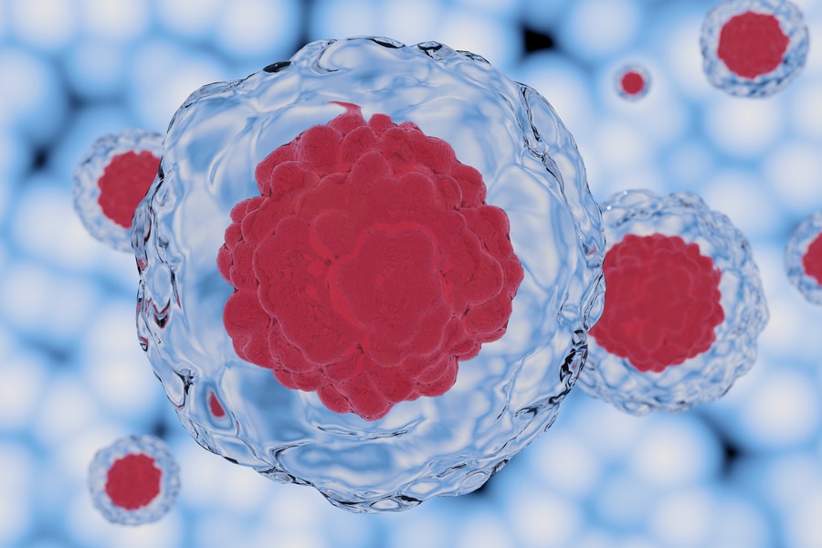 What are the Types of Stem Cells? - Featured Image