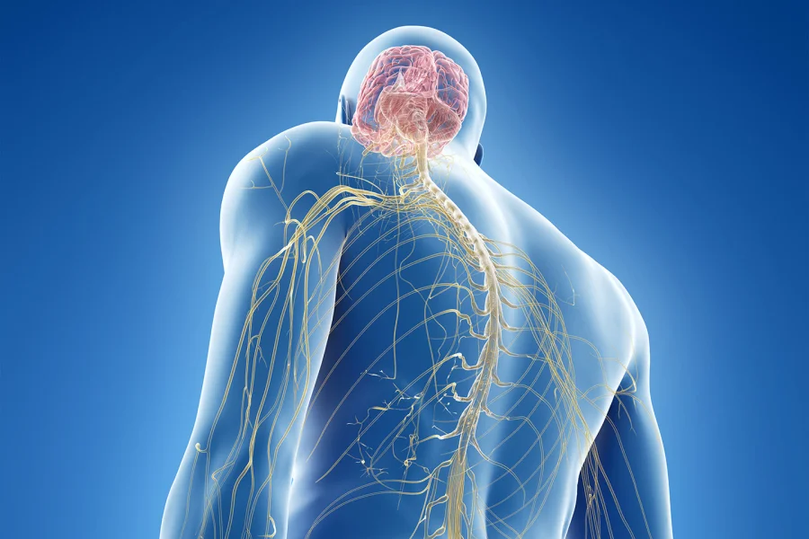 Nerve Pain Injections - Image